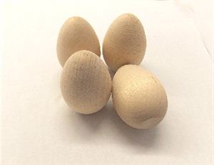 Picture of Small Egg