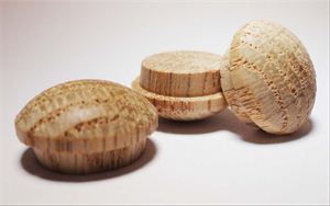 Picture of 1/2" Diameter Oak Mushroom Buttons